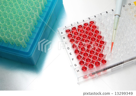 Pipette with well plate filled with samples in lab Pipette with well plate filled with samples in lab 13299349