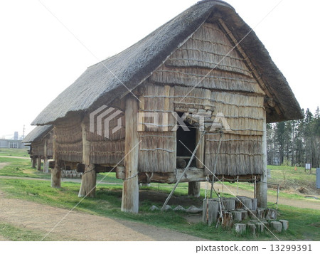 Sannai Maruyama遺址 13299391