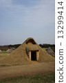 Sannai Maruyama遺址 13299414