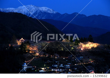 Cherry blossoms at Takati Castle Ruins Park at night Cherry blossoms at Takati Castle Ruins Park at night 13299682