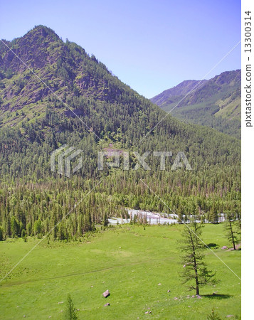 Mountains Altai 13300314
