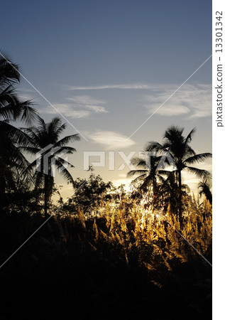 Tropical sunset Tropical sunset 13301342