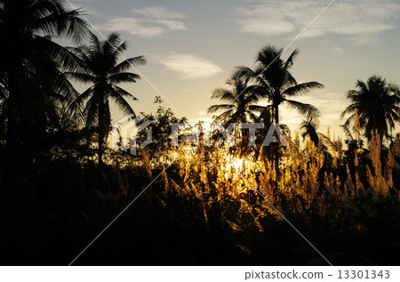 Tropical sunset Tropical sunset 13301343
