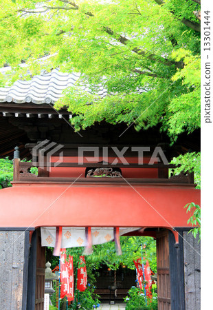 Changjienji 13301444