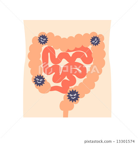 邪惡穿過大腸 13301574