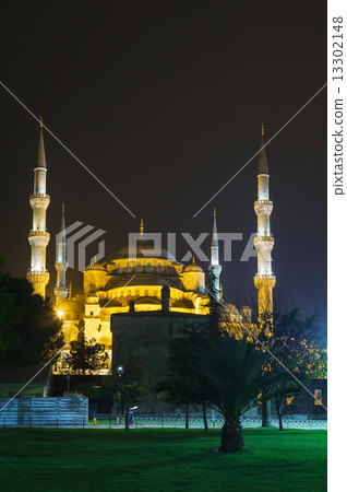 Sultan Ahmed Mosque (Blue Mosque) in Istanbul 13302148