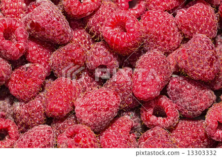 raspberry background 13303332