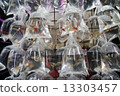 Goldfish Street 13303457