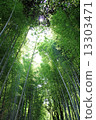 Bamboo forest in Arashiyama 13303471