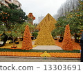 Citrus art 13303691