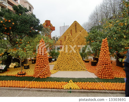 Citrus art Citrus art 13303691