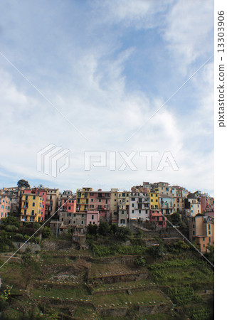 柯爾尼利亞 柯爾尼利亞 13303906