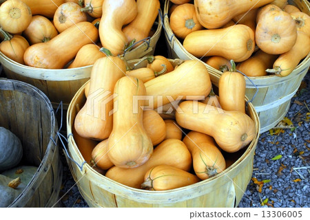 Baskets with squash vegetables Baskets with squash vegetables 13306005