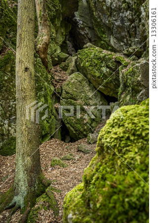 Czech National Natural Heritage Rudice Basin 13306161