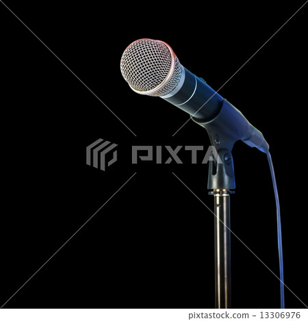 Microphone on stand 13306976