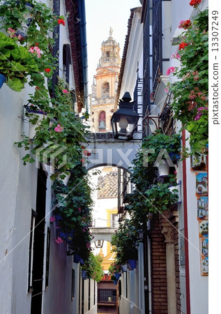Minaret from flower path 13307249