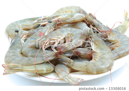 prawns, shrimps prawns, shrimps 13308016