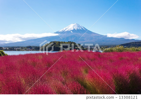 Mount Fuji  13308121