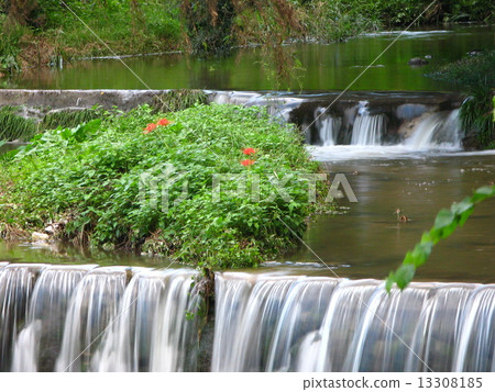 Flow of the Asuka River Flow of the Asuka River 13308185