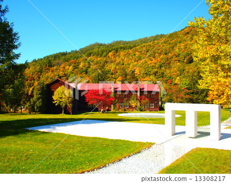 Arte Piazza Bibi 13308217