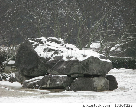 Snow Asuka Snow Asuka 13308222