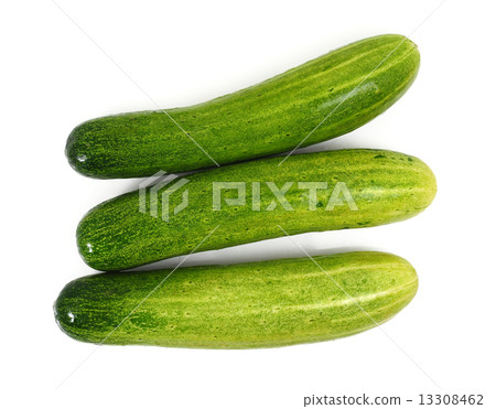 Cucumber 13308462