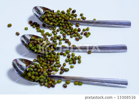 green mung beans isolated on white green mung beans isolated on white 13308516