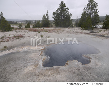 Yellowstone Fire Hall Spring Yellowstone Fire Hall Spring 13309035