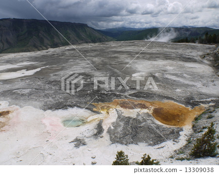 Yellowstone Terrace / Mountain 13309038