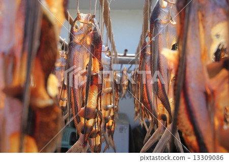 Sunfish Sunfish 13309086