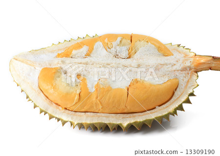 Durian Durian 13309190