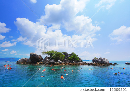 Group Snorkelling Travel 13309201