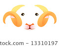 Sheep's face 13310197