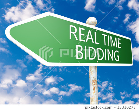 Real Time Bidding 13310275