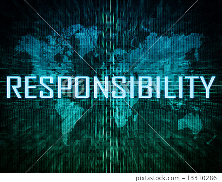 Responsibility 13310286