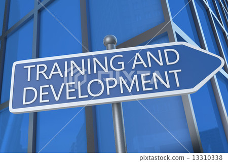 Training and Development Training and Development 13310338