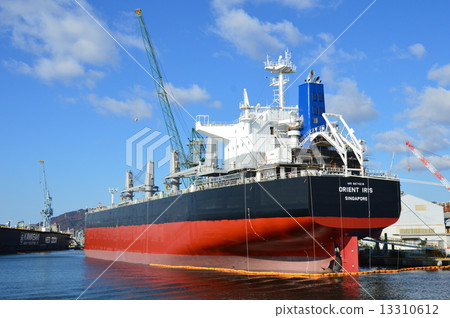 散貨船“東方鳶尾”（神戶港/兵庫縣神戶市） 13310612