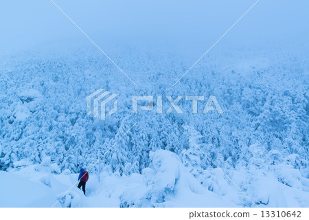 白色的世界 13310642