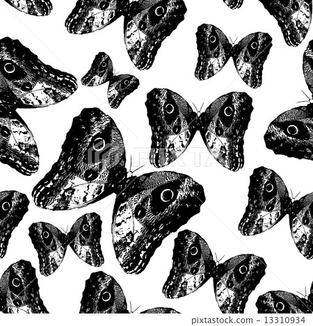black vector retro butterfly seamless pattern eps10 13310934