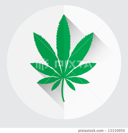 isolated green marijuana leaf symbol eps10 isolated green marijuana leaf symbol eps10 13310950