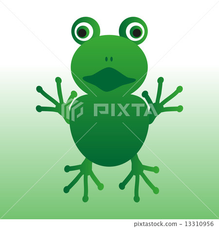 isolated green frog animal looks at you eps10 isolated green frog animal looks at you eps10 13310956