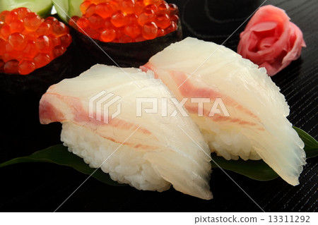 攫奪者壽司魚白色背景 13311292