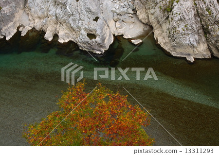 偉大的步行 偉大的步行 13311293