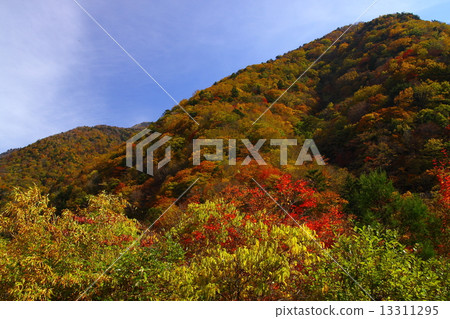 Okuya Valley秋葉 Okuya Valley秋葉 13311295