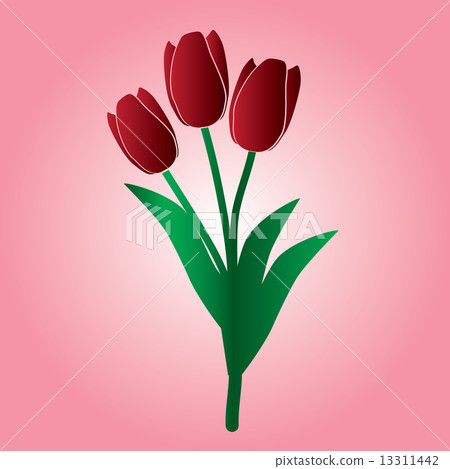 red tulip flower eps10 red tulip flower eps10 13311442