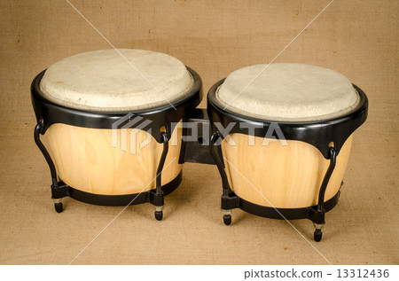 Bongo 13312436