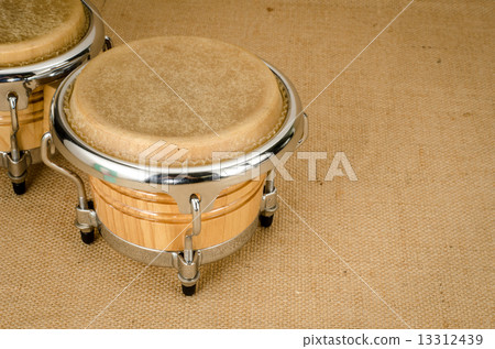 Bongo 13312439
