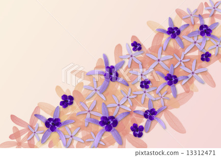 Purple flowers background 13312471