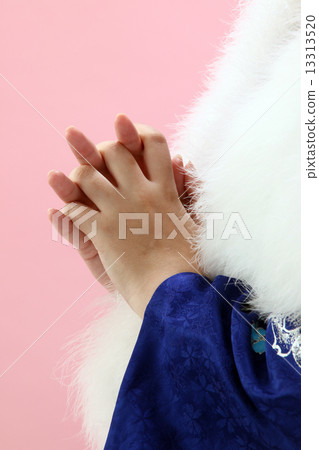 Kimono Kimono 13313520