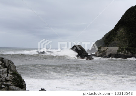 typhoon typhoon 13313548